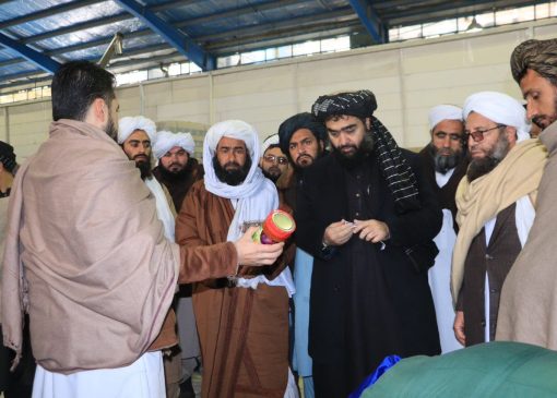 tawlid moraba dar wlait herat wa sadirat an ba keshwar az kharig
